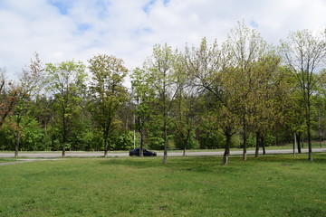 View of the green Park in the city.