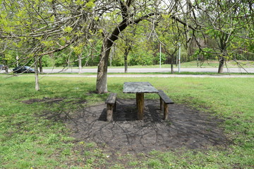 Wooden bench and table near the tree in the green Park of the city.