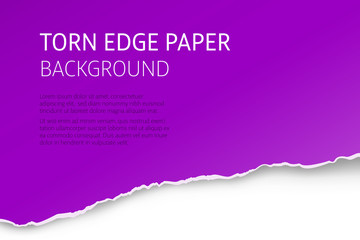 Torn edge paper colorful background. Page or card vector template.