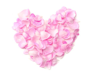 pink rose petal heart isolated on white background. top view