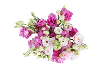 Eustoma flowers bouquet mix of white, purple, rose and violet lisianthus. Isolated on white background