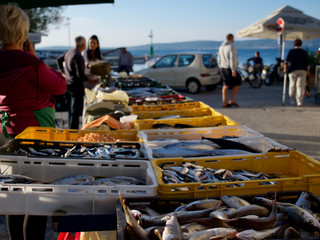 nicht immer kommt der Fisch auf dem Markt direkt aus der kroatischen Seite der Adria, oft wird er...