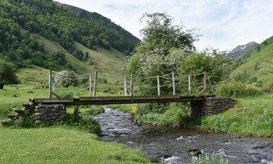 Fototapeta premium Belle construction pour ce pont qui permet de passer d'une rive à l'autre sans se mouiller les pieds dans cet estive au Plateau de Lhers à Accous dans les Pyrénées Atlantique
