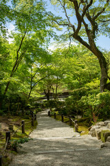  Kyoto is fresh green