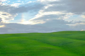 The landscape of Val d'Orcia: green meadows and cypresses at sunset. Hills of Tuscany. Val d'Orcia landscape in spring