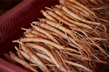 Ginseng root at Chinese herbal medicine market 