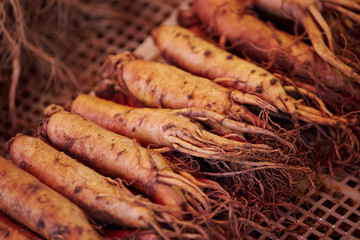 Ginseng root at Chinese herbal medicine market 