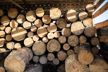 A large pile of logs folded under a wooden canopy