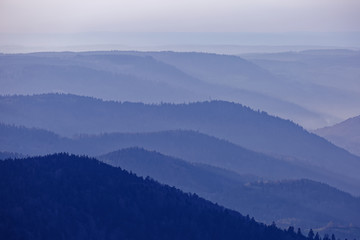 Naklejka premium paysage des Vosges