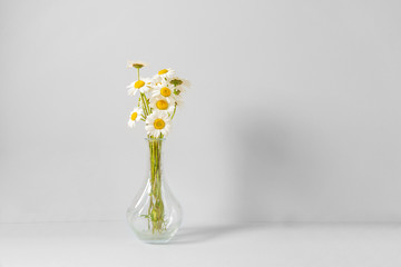 Bouquet of daisies in a glass vase