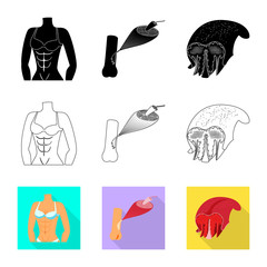 Isolated object of fiber and muscular sign. Set of fiber and body  stock symbol for web.