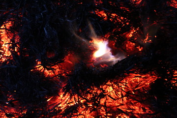 Beautiful Fire flames on black background.