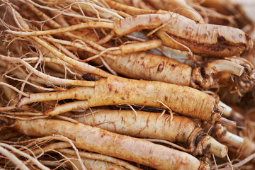 Ginseng root at Chinese herbal medicine market 