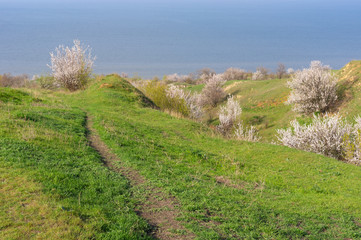 Obraz premium Spring landscape foot path leading down to Kakhovka Reservoir riverside located on the Dnipro River near Skelki village, Ukraine