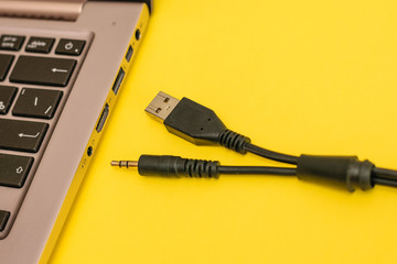 Cable with two connectors for connecting a microphone to a laptop.