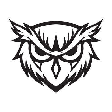 owl line art design illusration concept