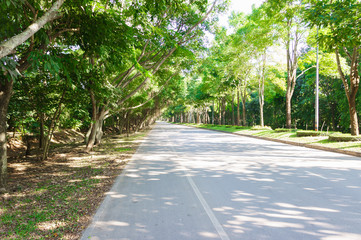 Asphalt road are garden tree and forest in Thailand with green grass with copy space. For background and landscape.