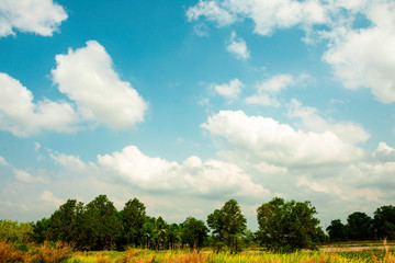 Green field on bright sky clouds, Green forest on wide grass fields.