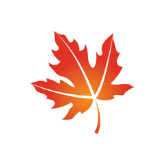 Obraz premium Designer