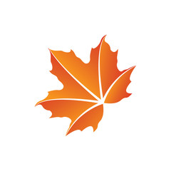 Obraz premium Designer