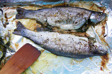 homemade tasty oven baked two trouts