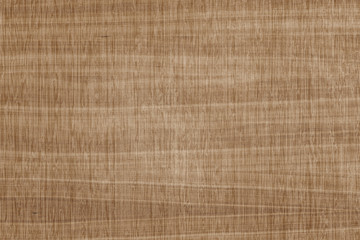 Fototapeta na wymiar brown walnut tree timber wood structure texture background backdrop