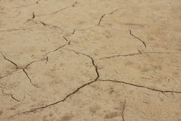 yellow dry land - drought