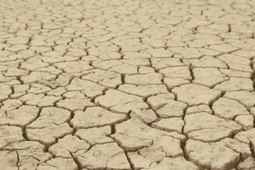 yellow dry land - drought