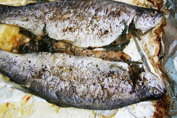 homemade tasty oven baked two trouts