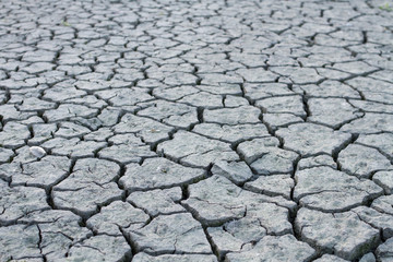 yellow dry land - drought
