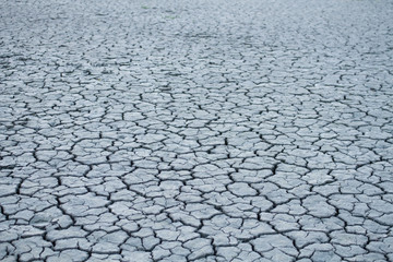 yellow dry land - drought