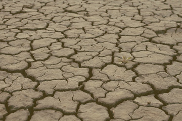 yellow dry land - drought