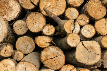 wooden firewood piled on top of each other in the street