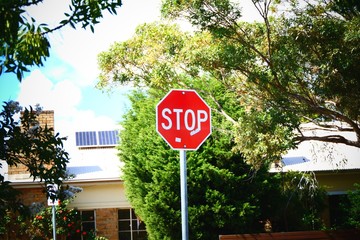 stop sign on the road