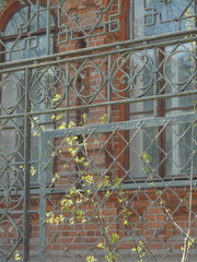 fenêtre, vieux, architecture, mur