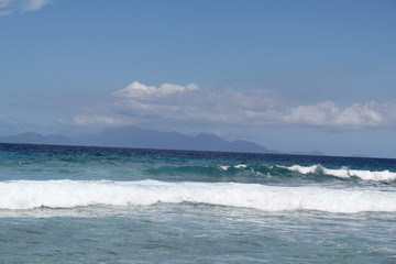 seychelles beach private island coconut