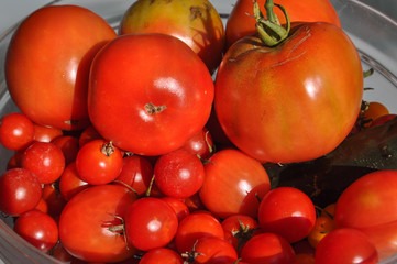tomato vegetables food