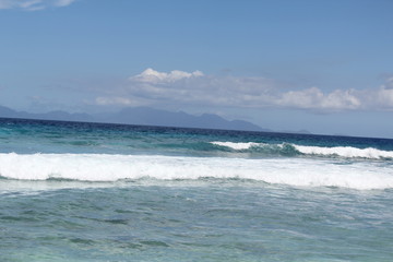 seychelles beach private island coconut