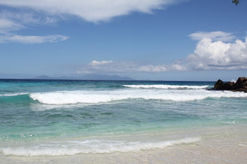 seychelles beach private island coconut
