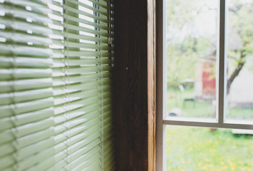 window with green blinds
