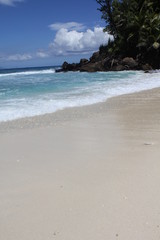 seychelles beach private island coconut