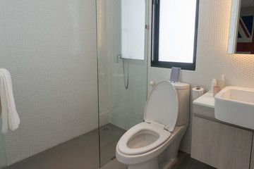  White toilet bowl  Beautiful Large Bathroom