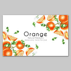 Hand painted watercolor orange card. Design for natural food, sweets, pastries, dessert menu, beauty and health care products. Can be used for invitation, banners, cover design, packaging templates