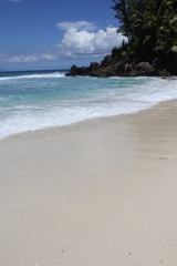seychelles beach private island coconut