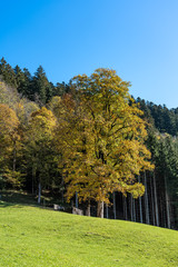 landscape near Garmisch Partenkirchen in Bavaria, Germany