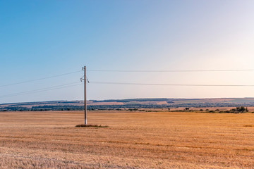 Electric pole stands in the middle of the field.