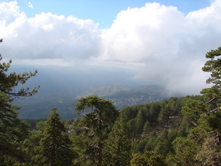 A panorama of a blue sunny sky, barely covered with clouds above the top of the trees of the high mountain forest.