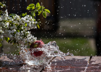 splash of water