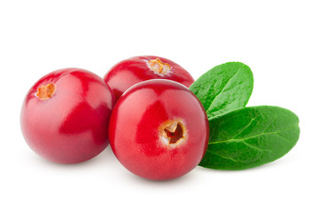 cranberry isolated on white background, clipping path, full depth of field
