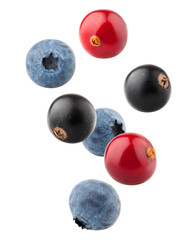 Falling berries, cranberry, blueberry, black currant, clipping path, isolated on white background, full depth of field